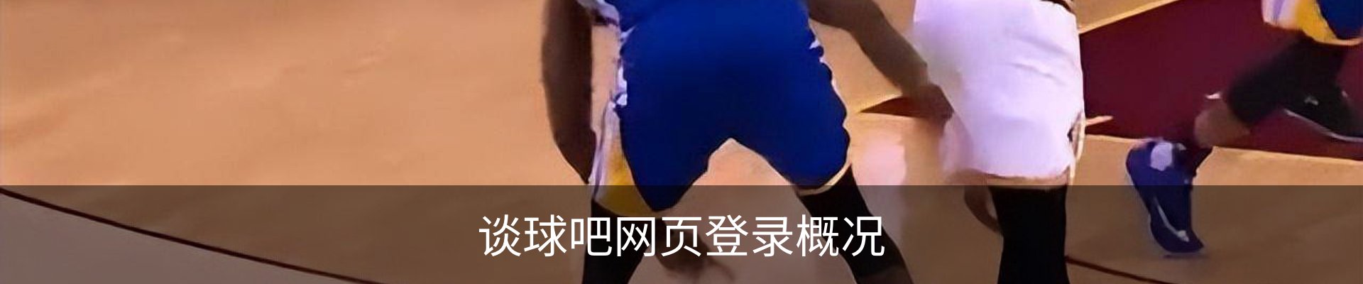 谈球吧网页登录概况